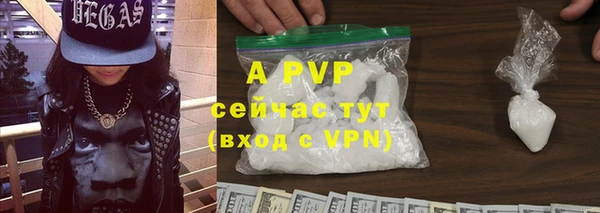 прущие грибы Снежинск