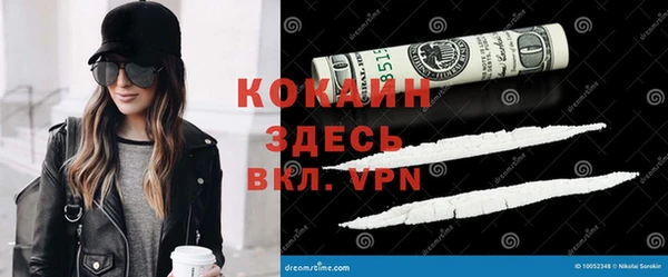 гидра Слюдянка