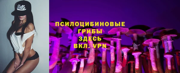 прущие грибы Снежинск