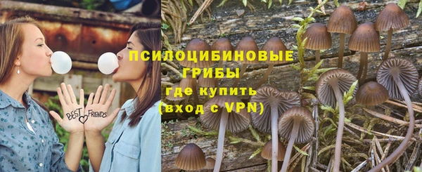прущие грибы Снежинск
