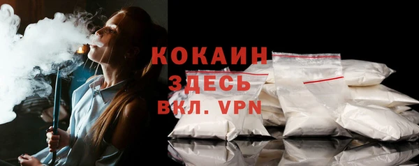дмт Снежногорск