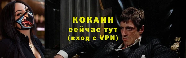 дмт Снежногорск