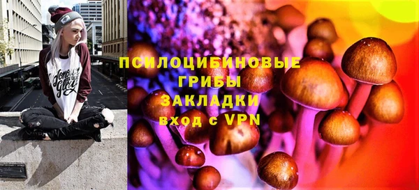 прущие грибы Снежинск
