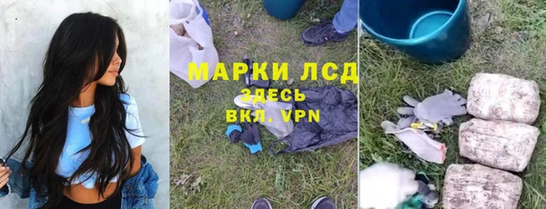 гидра Слюдянка
