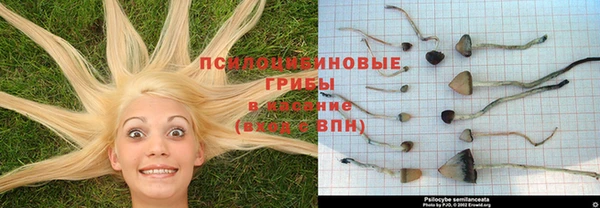 гидра Слюдянка