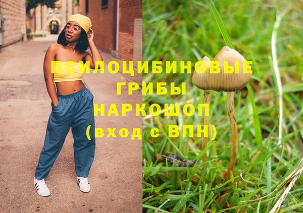 прущие грибы Снежинск