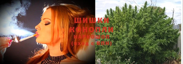 прущие грибы Снежинск