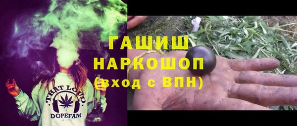 гидра Слюдянка