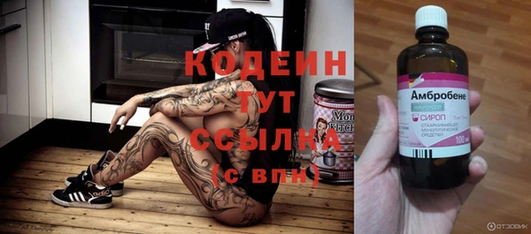 прущие грибы Снежинск
