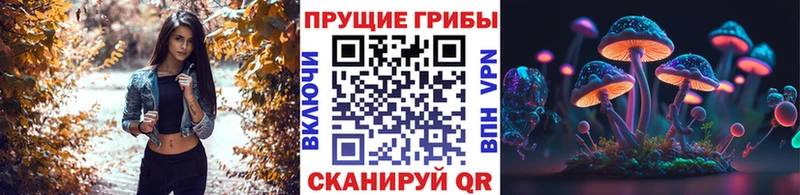 Купить  Майский  Псилоцибиновые грибы мицелий 
